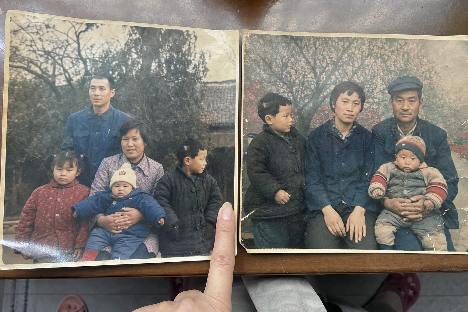 两张照片