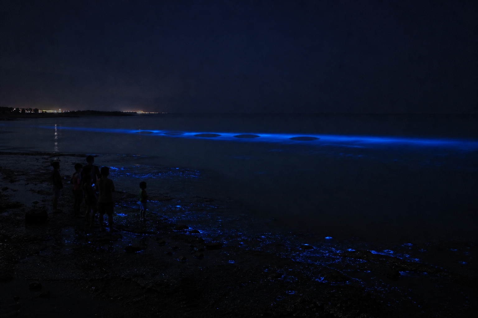 海中蓝光